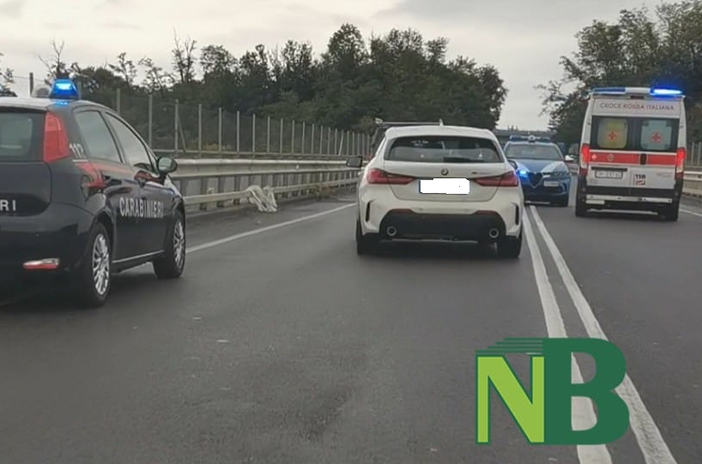 donna ponte donna ponte