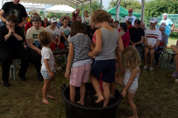 Festa dell'Uva del Sorriso, una giornata alternativa con 200 partecipanti. Festa dell'Uva del Sorriso, una giornata alternativa con 200 partecipanti.