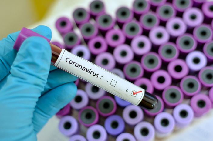 Coronavirus, salgono a 49 i casi positivi in Piemonte Coronavirus, salgono a 49 i casi positivi in Piemonte