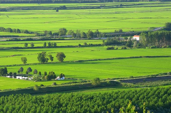 Coldiretti e gli istituti agrari insieme per il territorio