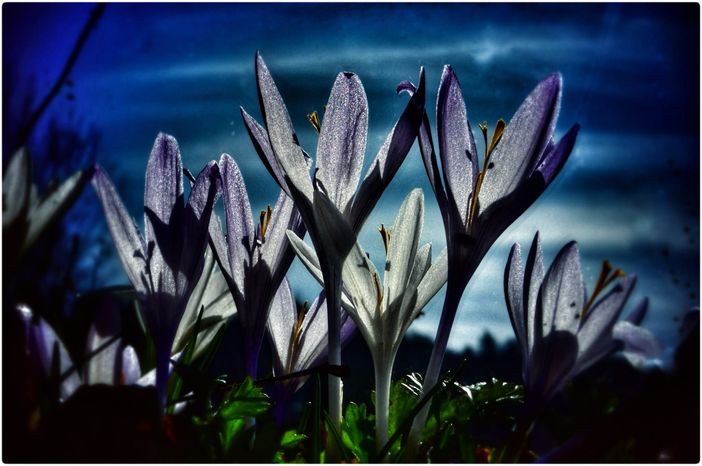 Uno scatto alla luce della luna...foto Paolo Rosazza Pela