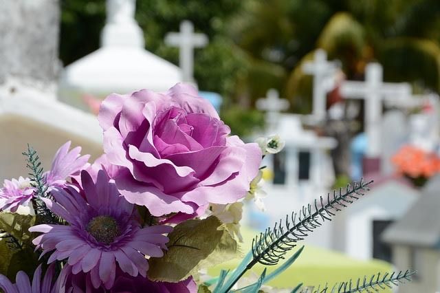 cimitero viverone