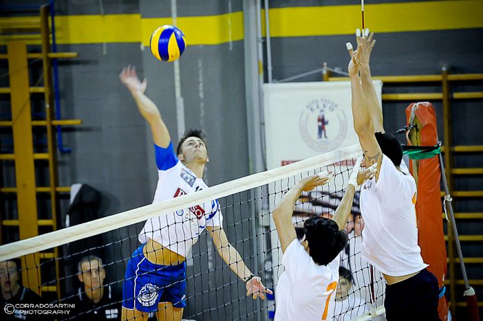 Una schiacciata di Ricino (Foto Corrado Sartini) Una schiacciata di Ricino (Foto Corrado Sartini)