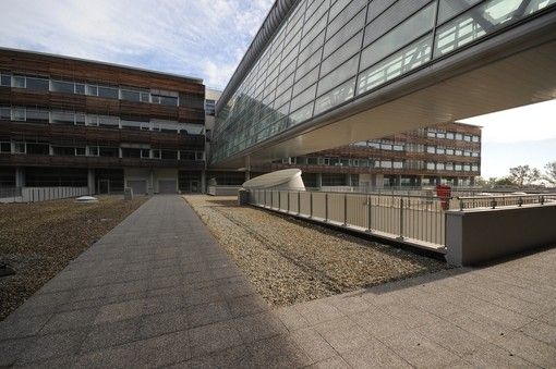 bollettino regione bollettino regione