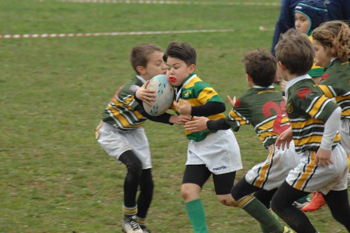 Rugby: Biella ospiterà i campionati studenteschi