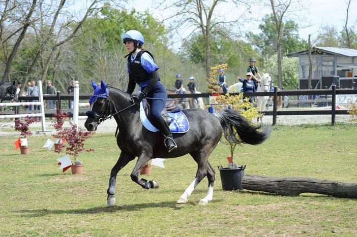 equitazione trofeo