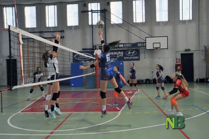 Bear Wool Volley, prime finali: L’U13F a Pallavolo Acqui, l’U14M al PVL l’U14F a ISIL Almese Bear Wool Volley, prime finali: L’U13F a Pallavolo Acqui, l’U14M al PVL l’U14F a ISIL Almese