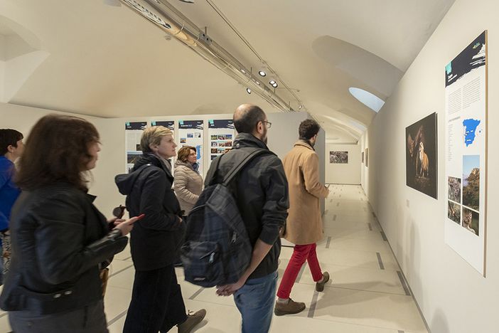 Selvatica - Arte e Natura in Festival: Edizione da record con 8.000 visitatori