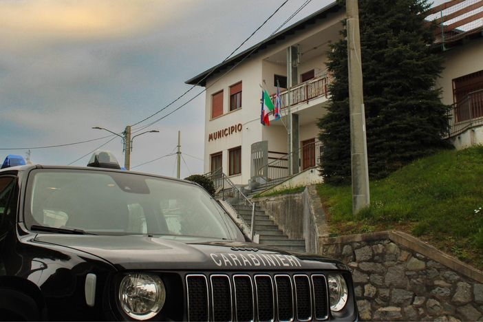 cane zumaglia cane zumaglia