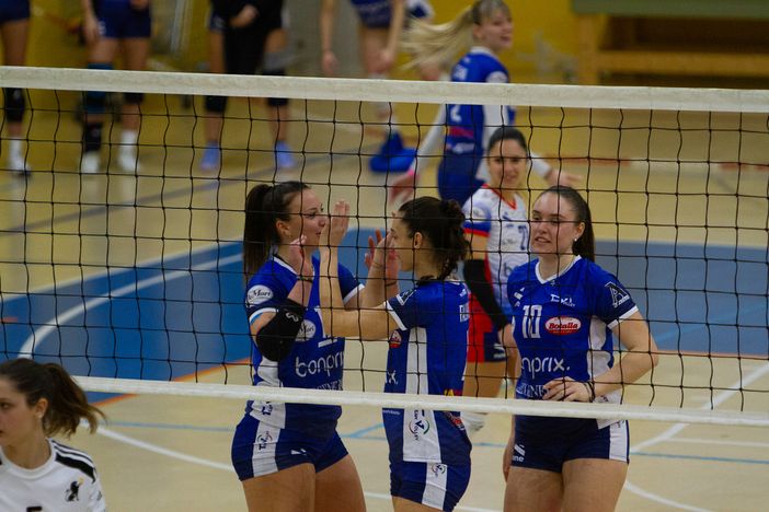 teamvolley teamvolley