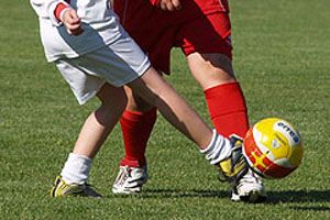 Nuovo format per campionati e  tornei giovanili della Lega Nazionale Dilettanti Piemonte VdA - Foto archivio newsbiella.it