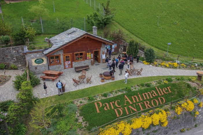 Parc Animalier d’Introd in Valle d'Aosta: la natura alpina a un passo dal Biellese Parc Animalier d’Introd in Valle d'Aosta: la natura alpina a un passo dal Biellese