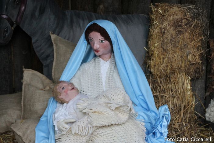 Foto e video Catia Ciccarelli