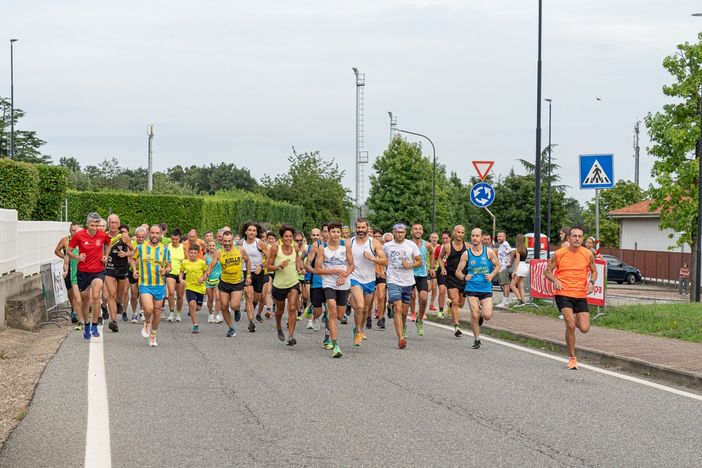 alpini lessona alpini lessona