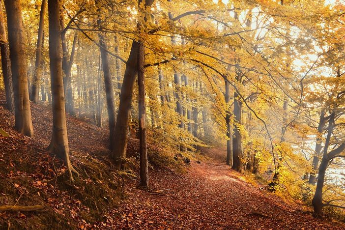 Previsioni per l’autunno: cosa ci aspetta? Le valutazioni di Arpa Piemonte. Previsioni per l’autunno: cosa ci aspetta? Le valutazioni di Arpa Piemonte.