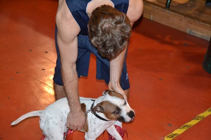 Alan Voskuil con il suo cane Horry