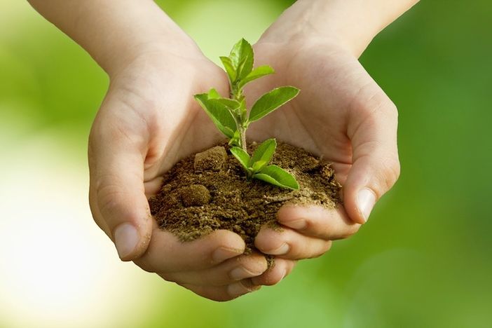 Ambiente: Letture religiose e laiche a confronto al Museo del Territorio di Biella