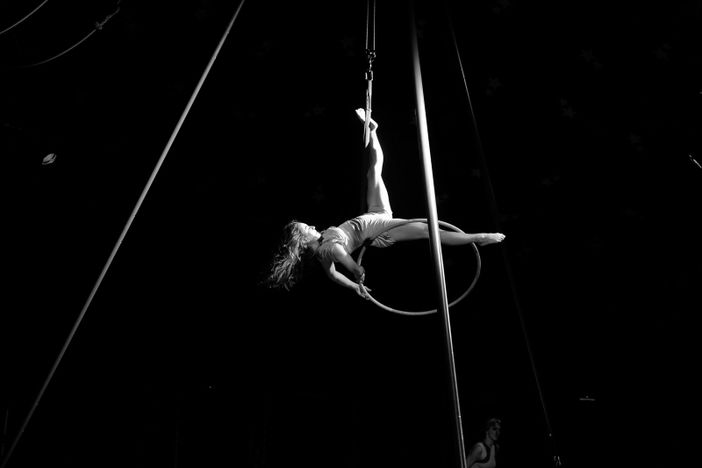 elisabetta borrione elisabetta borrione