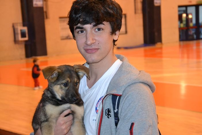 Basket - Distorsione alla caviglia sinistra per Raspino