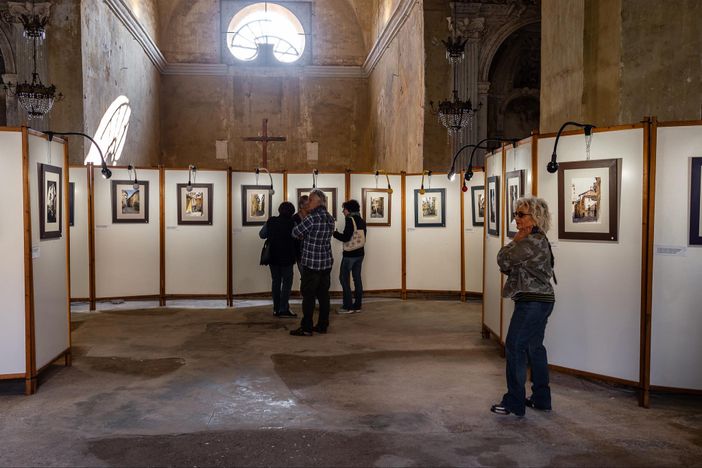 omaggio pittore omaggio pittore