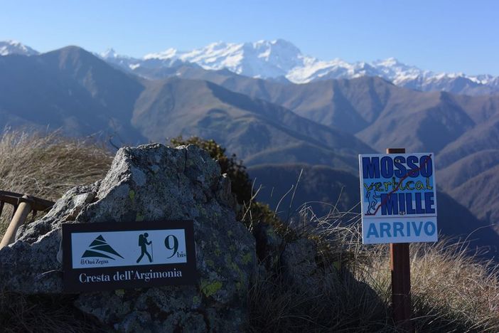 Mosso: Vertical Mille, una corsa per il Fondo Tempia Mosso: Vertical Mille, una corsa per il Fondo Tempia