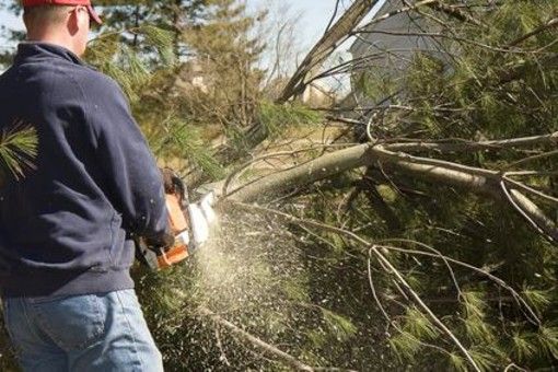 Manutenzione del verde sulle provinciali biellesi, attenzione a come cambia la viabilità Manutenzione del verde sulle provinciali biellesi, attenzione a come cambia la viabilità