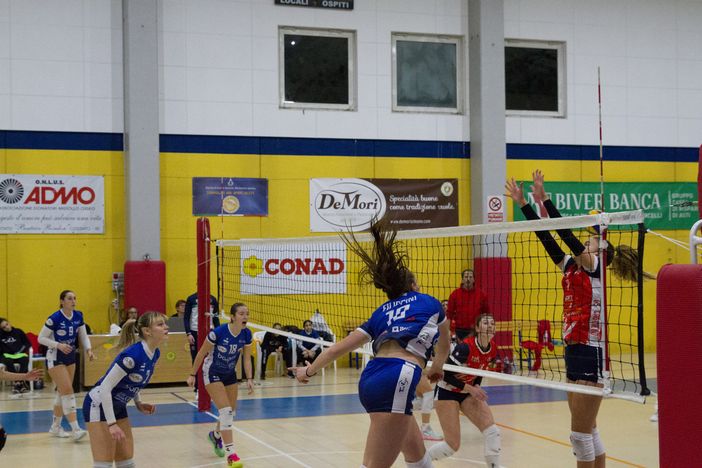 teavolley gara