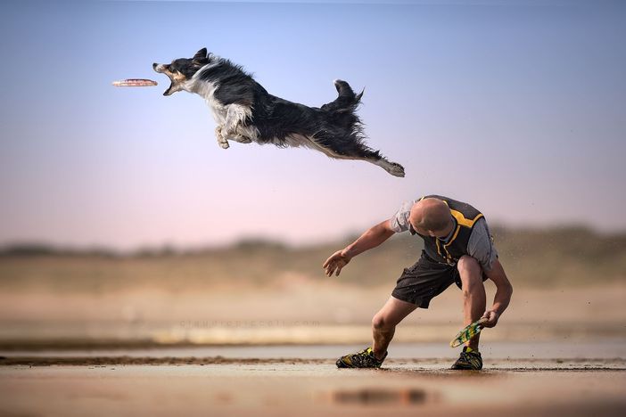Occhieppo Superiore: Cani e fotografia, binomio perfetto mostrato dall’artista Claudio Piccoli
