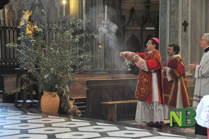 domenica palme biella