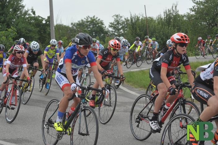 piatto trofeo squillario