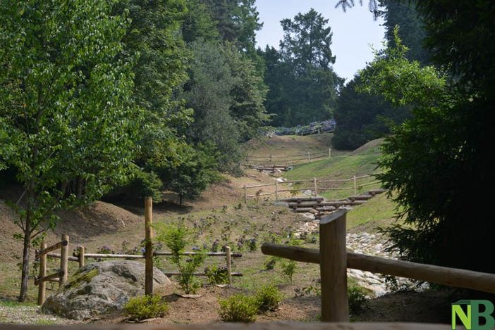 Ex trattoria della Burcina verso il rilancio: due offerte per la concessione Ex trattoria della Burcina verso il rilancio: due offerte per la concessione