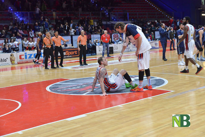 Edilnol basket