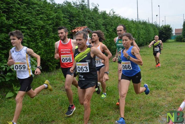 miglio d'oro miglio d'oro