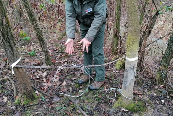 Mosso: azione violenta nei confronti di una guardia ecologica, foto prov di biella