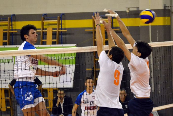 Alessandro Dellarolle