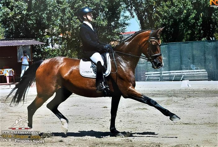 Equitazione, prima posizione al debutto per il cavaliere biellese Christian Grasso
