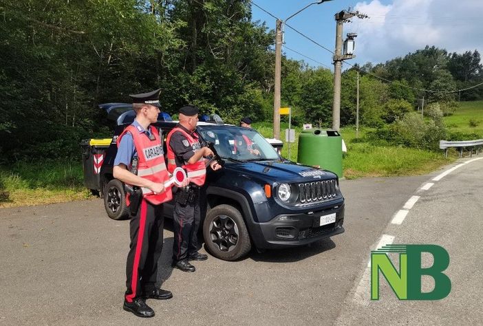 ladri elvo ladri elvo