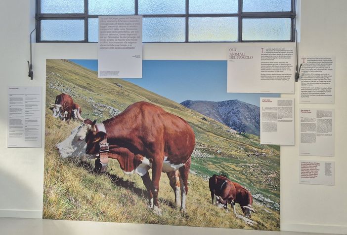 A Pollone un viaggio tra passato e presente al Museo "Forma"