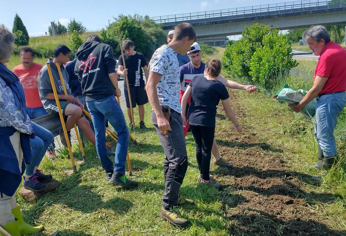 Biella, allevi dell'Istituto Agrario: preparazione e semina di piante mellifere all'Oasi delle Api (archivio).