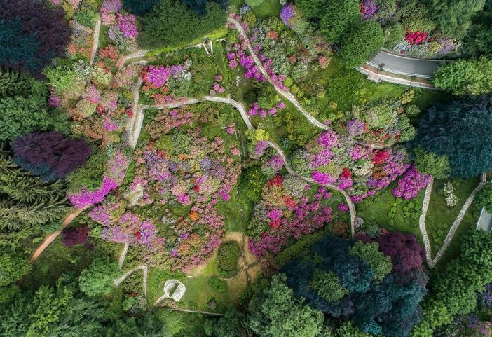 La Conca dei rododendri: arriva la primavera all’Oasi Zegna.