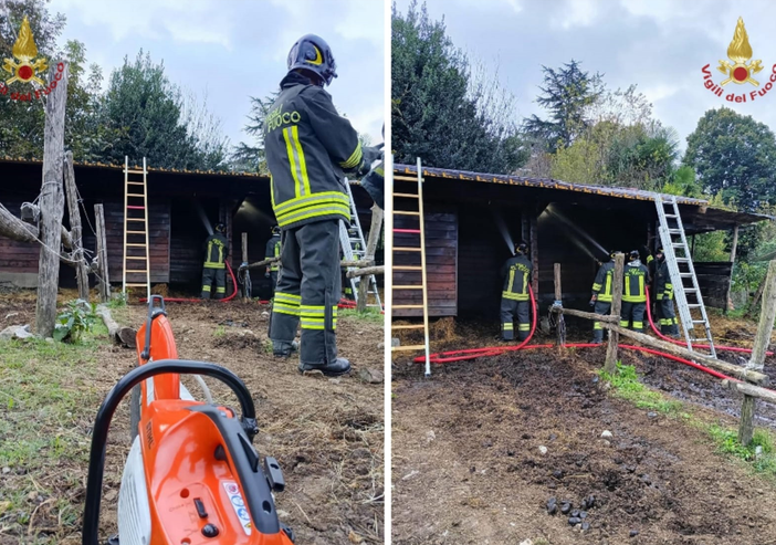 roppolo maneggio roppolo maneggio