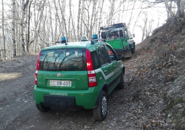 Carabinieri Forestale, in un anno nel Biellese 20 sanzioni per abbruciamento di residui vegetali Carabinieri Forestale, in un anno nel Biellese 20 sanzioni per abbruciamento di residui vegetali