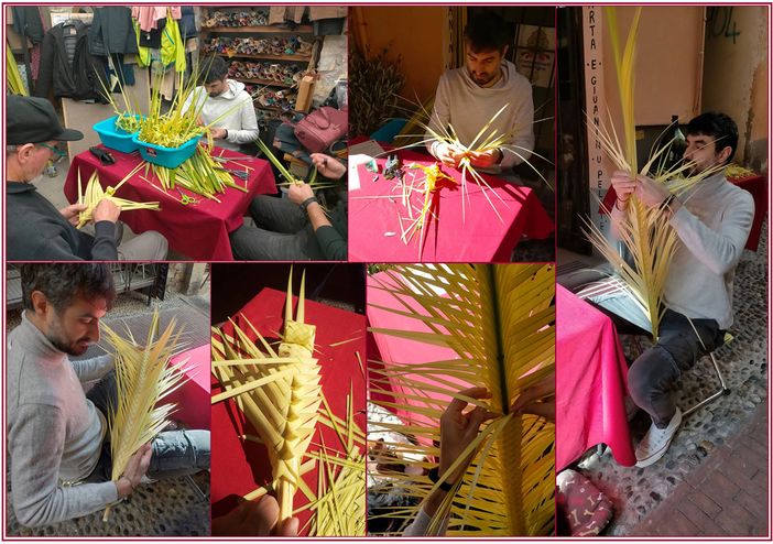 Nell’immagine, mosaico di palme “filadas” Nell’immagine, mosaico di palme “filadas”