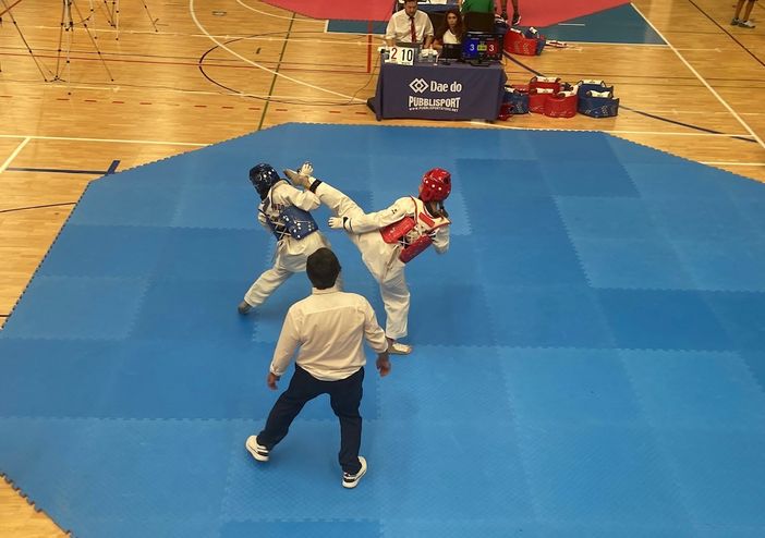 gare karate