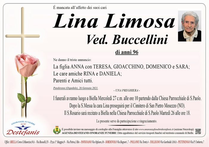 Lina Limosa Ved. Buccellini