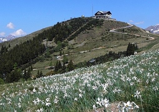 Cossato, terminata la posa di condotta forzata sulla Panoramica Zegna - Foto archivio newsbiella.it