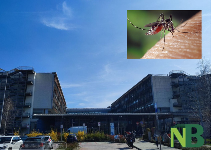 Virus West Nile: cosa sapere e come proteggersi, le indicazioni SISP Asl Bi Virus West Nile: cosa sapere e come proteggersi, le indicazioni SISP Asl Bi