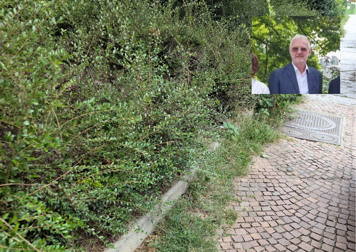 Biella, un cittadino: "Continua a persistere un diffuso stato di incuria". La replica dell'assessore Franceschini Biella, un cittadino: "Continua a persistere un diffuso stato di incuria". La replica dell'assessore Franceschini