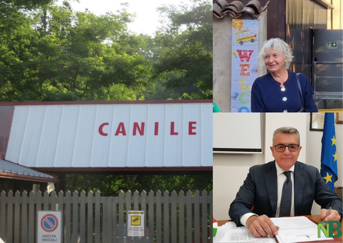Canile consortile di Cossato, si lavora a un progetto da 175 mila euro Canile consortile di Cossato, si lavora a un progetto da 175 mila euro