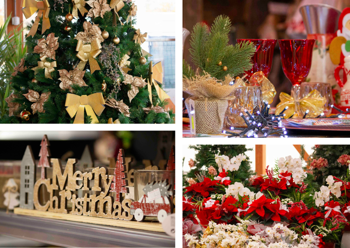 Il tuo Natale inizia nel nostro Gardenville: un viaggio tra magia, tradizione e meraviglia